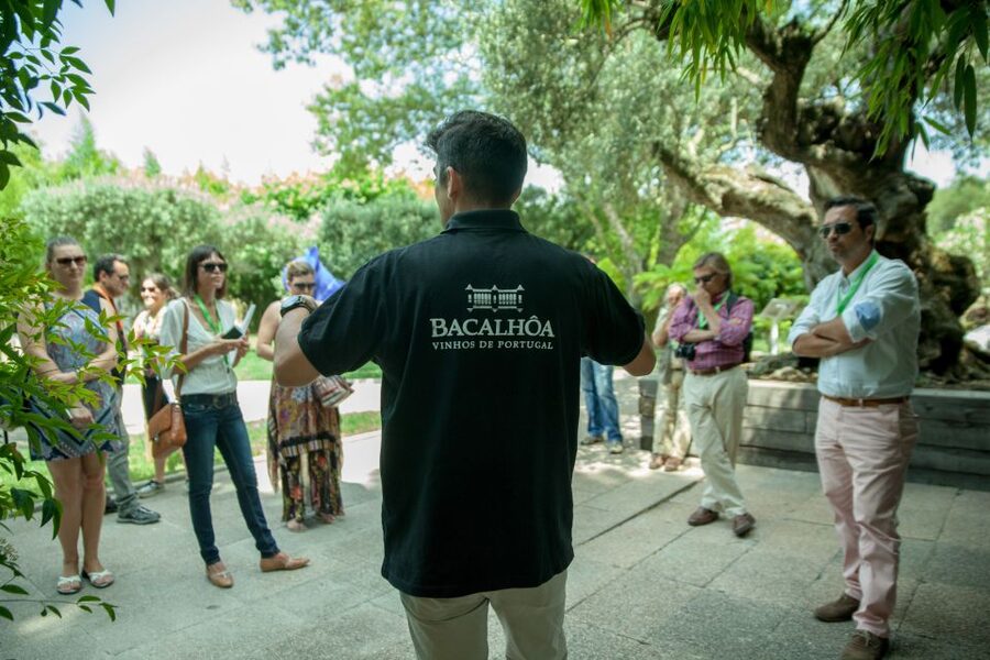 Arrábida: Full-Day Private Tour with Wine Tasting - Booking details that matter