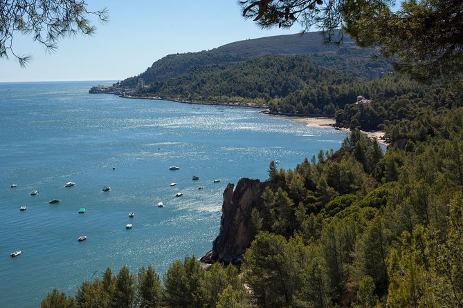 Arrábida: Full-Day Private Tour with Wine Tasting - Portinho da Arrábida and the ridge climb