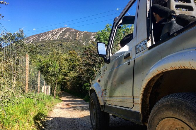 Arrabida Safari – Europe's Most Beautiful Beach & Hidden Gems - Through Arrabida’s oak woods and old farms