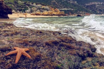 Arrabida Safari – Europe’s Most Beautiful Beach & Hidden Gems