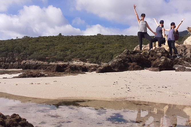 Arrabida Safari – Europe's Most Beautiful Beach & Hidden Gems - Guide quality and one serious safety warning