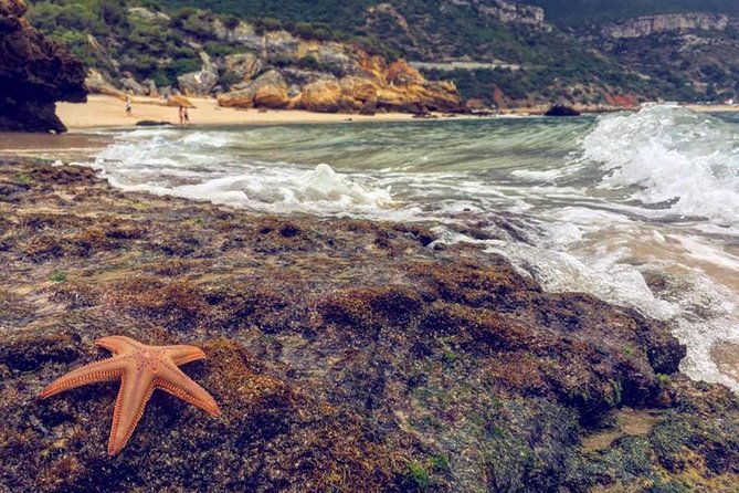 Arrabida Safari – Europe's Most Beautiful Beach & Hidden Gems - Serra do Risco and the old southern paths