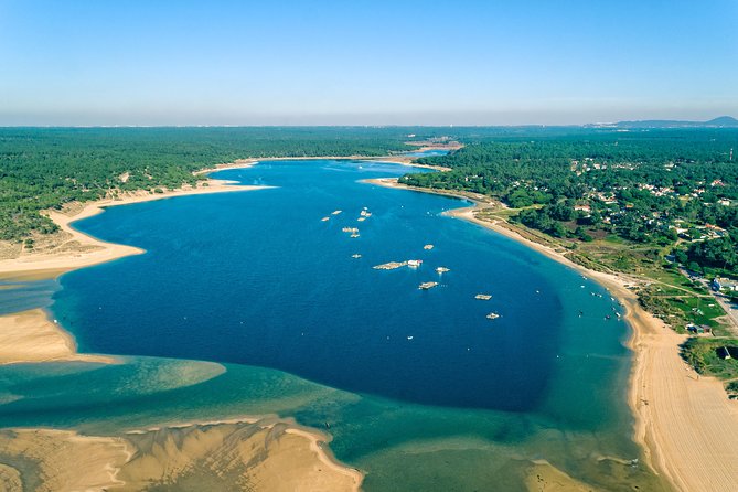 Arrabida Wine Tour from Lisbon: Wineries, Tastings & Tile Factory - Key points at a glance