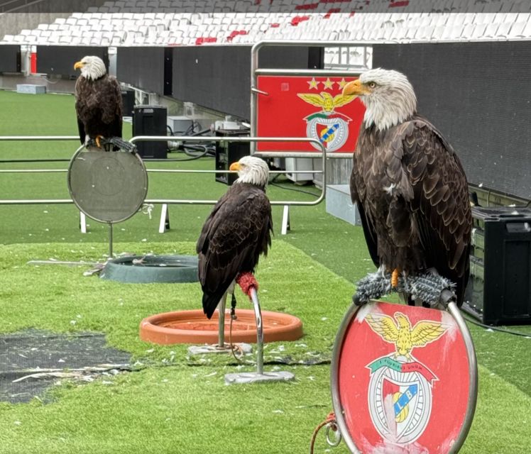Benfica Stadium and Museum Tour - FAQ