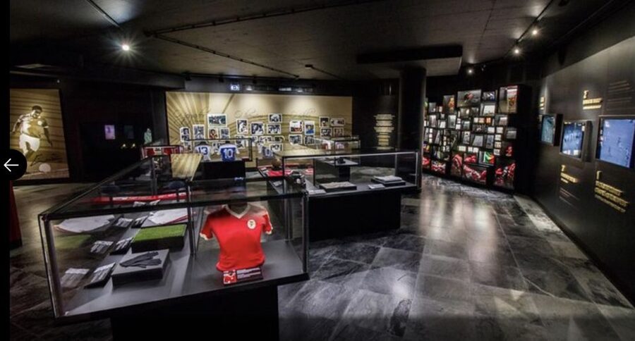 Benfica Stadium and Museum Tour - The Portuguese Tile Factory Stop