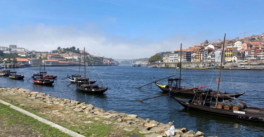 Best of Porto - Private Tour from Lisbon - Clérigos Tower and Livraria Lello
