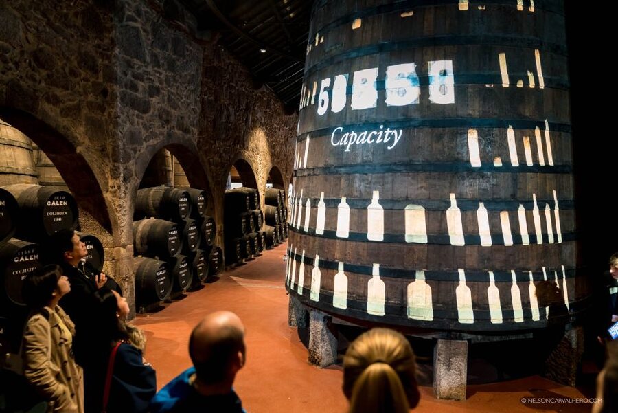 Best of Porto - Private Tour from Lisbon - Crossing to Gaia and the port wine caves