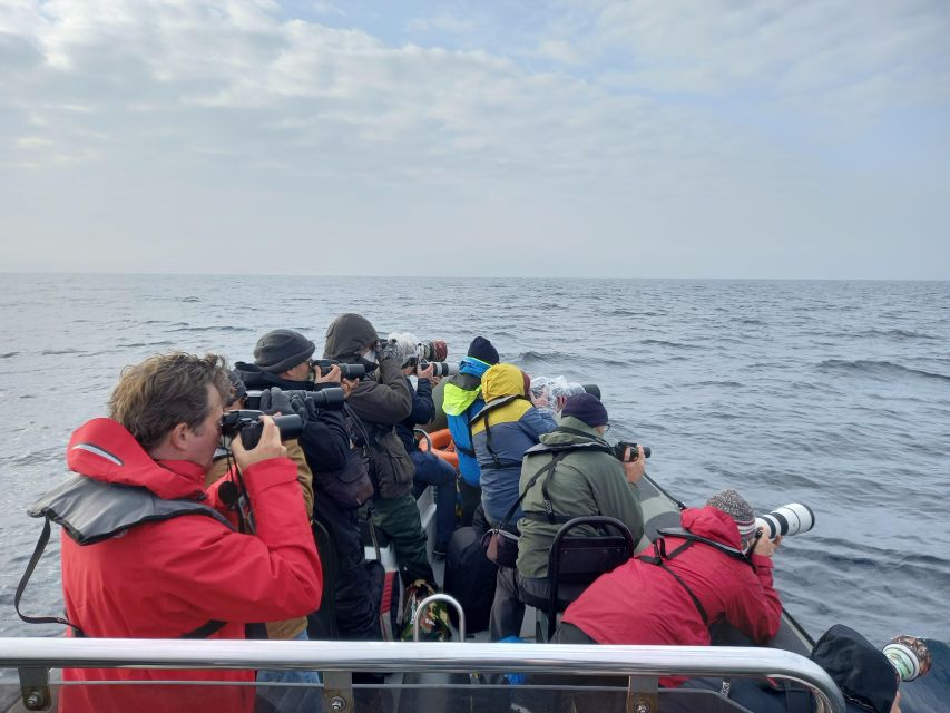 Birdwatching Boat Tour in the Tagus Estuary - Is $58 a fair price?