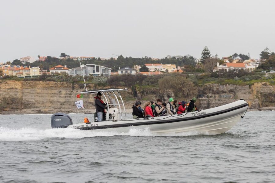 Birdwatching Boat Tour in the Tagus Estuary - Who will enjoy this boat tour most?