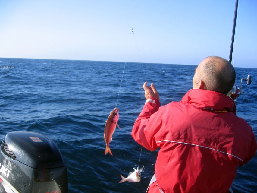 Cascais Deep-Sea Fishing Trip - Key points to know before you book