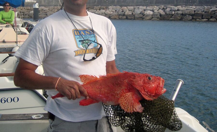 Cascais Deep-Sea Fishing Trip - Is $104 good value?