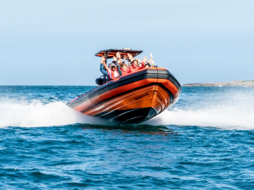 Cascais: Dolphin Watching Tour - Key points to know before you go