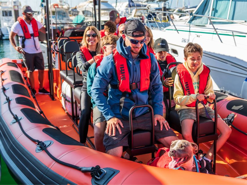 Cascais: Dolphin Watching Tour - Watching dolphins without turning them into a show