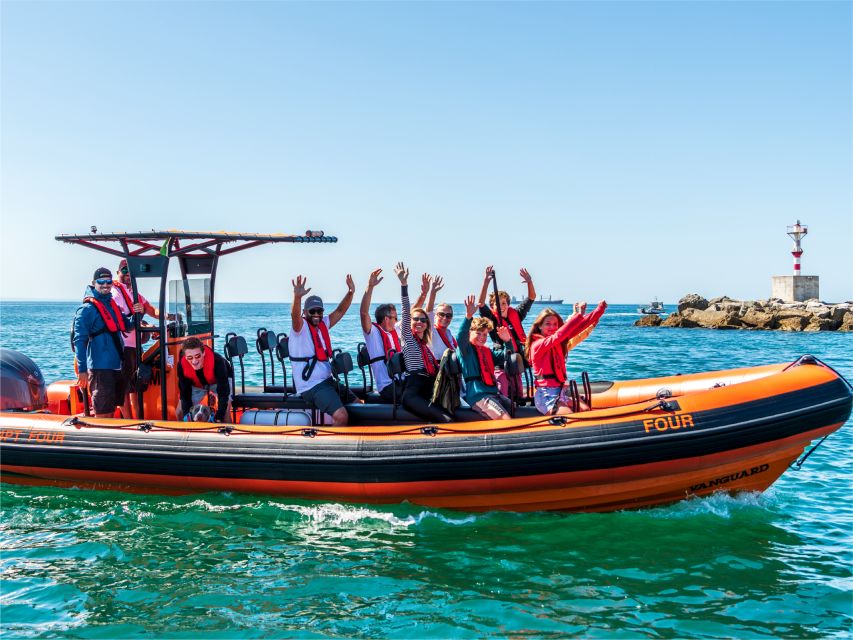 Cascais: Dolphin Watching Tour - What the guide adds on the water