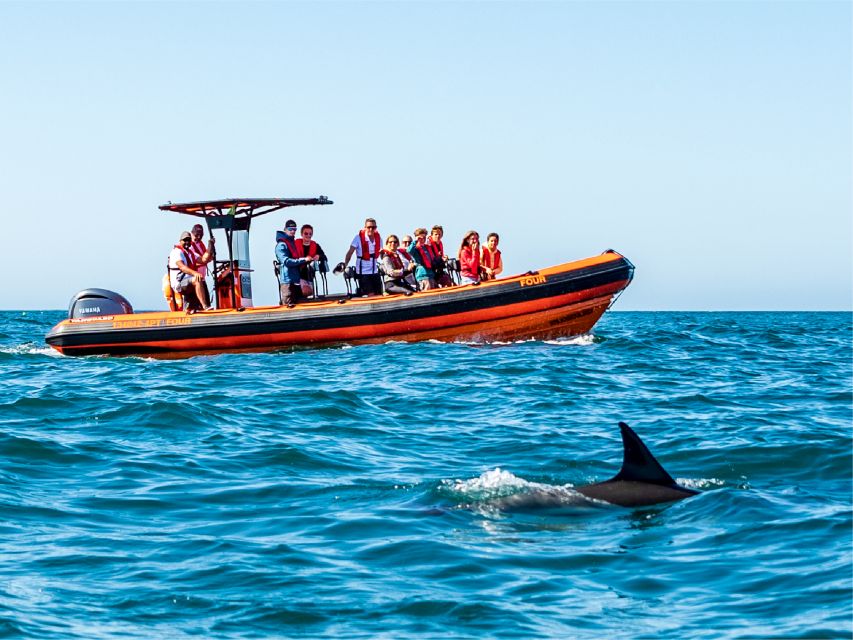 Cascais: Dolphin Watching Tour - Who will enjoy this boat trip most