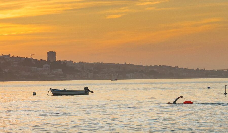 Cascais: Open Water Swimming - Marine life and sea conditions