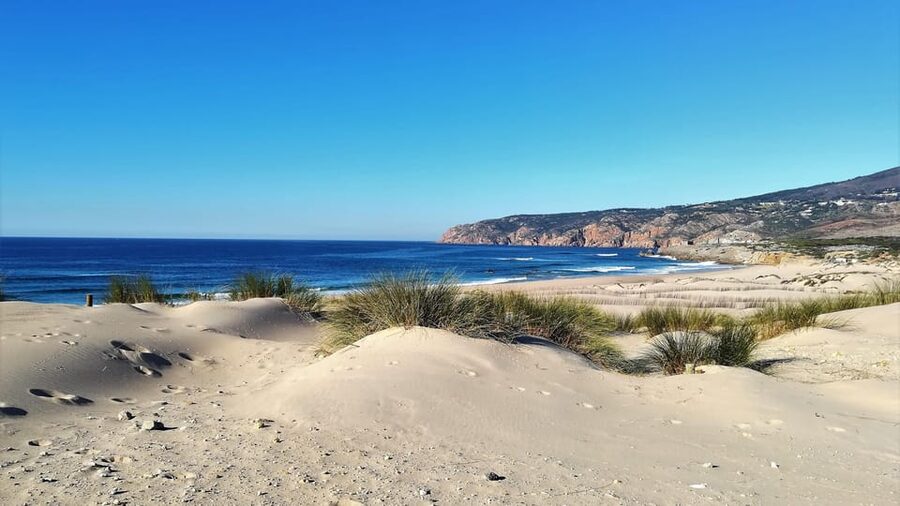 Cascais: Small group tour Sintra & Cabo da Roca & Cascais - Guincho Beach and the coastal road to Cascais