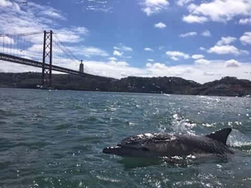 Cultural Sailing Tour in Lisbon - What the two-hour format does well