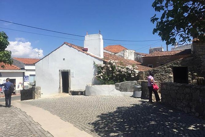Divine Fátima Full Day Private Tour from Lisbon - The Chapel, Basilicas, and Tombs