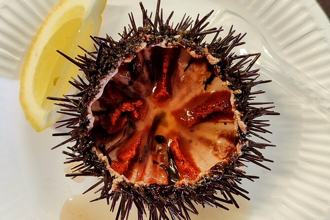 Ericeira Private Tour: 10 Tastings Food Tour - Starting at Ericeira’s old fort