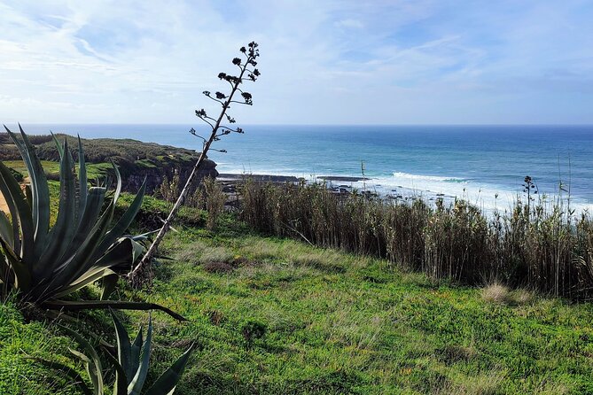 Ericeira Private Tour: 10 Tastings Food Tour - Meeting the fishermen at Praia dos Pescadores