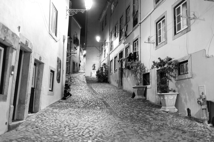 Fado: Musical Walking Tour with Food & Live Show - What you learn about Lisbon’s fado culture