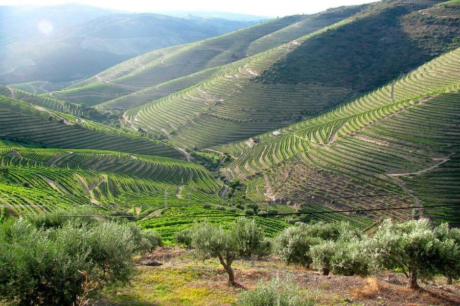 Fatima, Batalha, Nazare, Obidos Private Full Day Tour - Why this route works as a Lisbon day trip