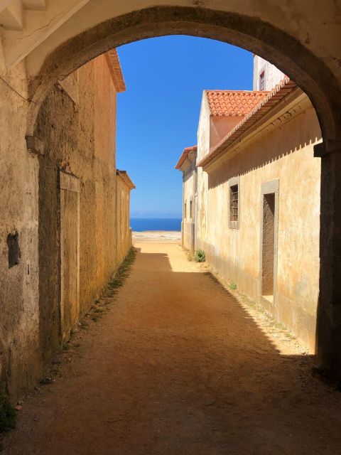 From Lisbon: Arrábida, Azeitão, Sesimbra, Palmela, Setúbal … - Is $175 a fair price?