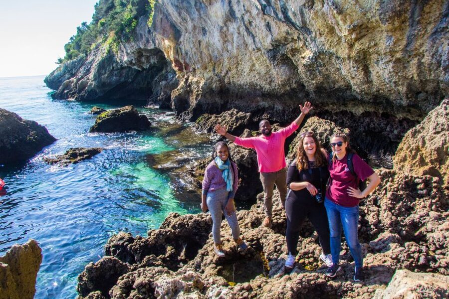 From Lisbon: Arrábida Day Tour & Wine Tasting - Farm Catralvos gives the day a proper finish
