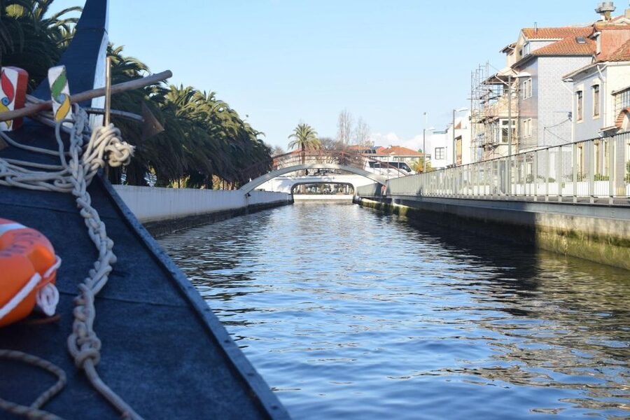 From Lisbon: Aveiro and Coimbra Food Experience - Key points to know before booking