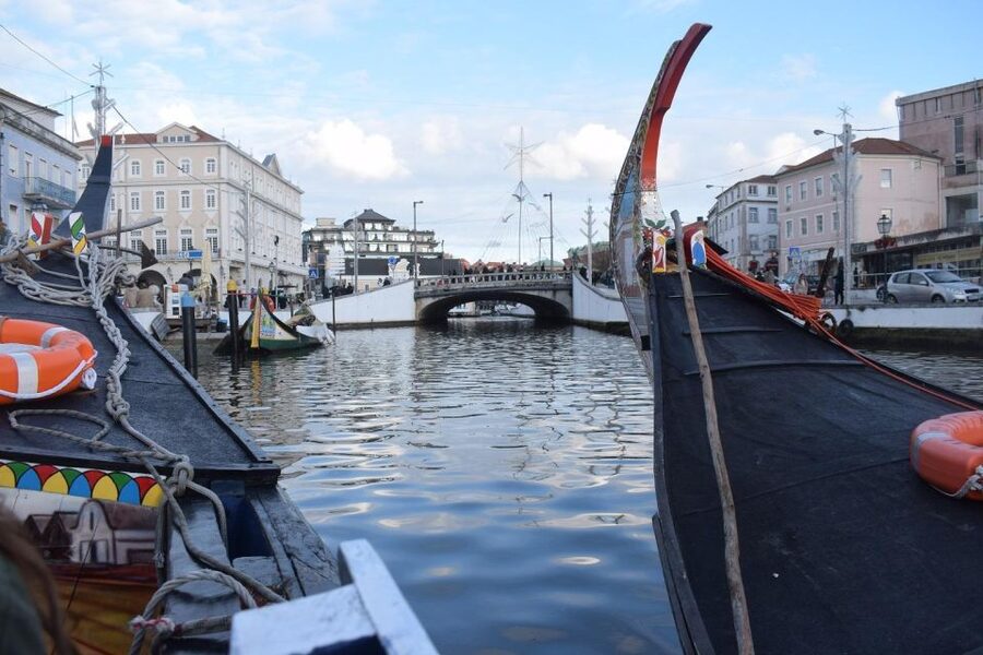 From Lisbon: Aveiro and Coimbra Food Experience - Mealhada and the Portuguese suckling pig stop