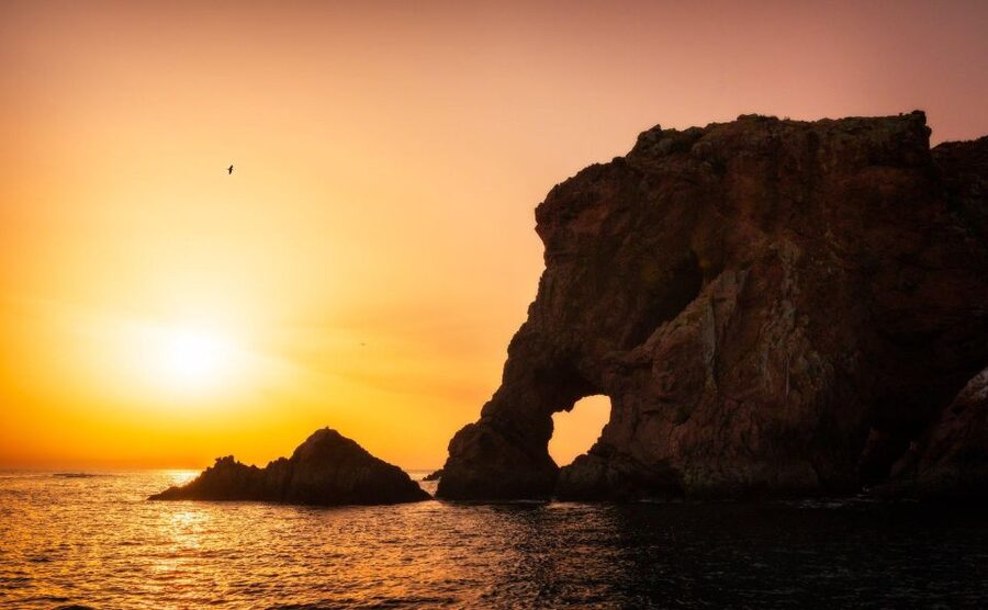 From Lisbon: Berlenga Grande Island Private Tour - Why Berlenga Grande makes this more than a standard Lisbon day trip