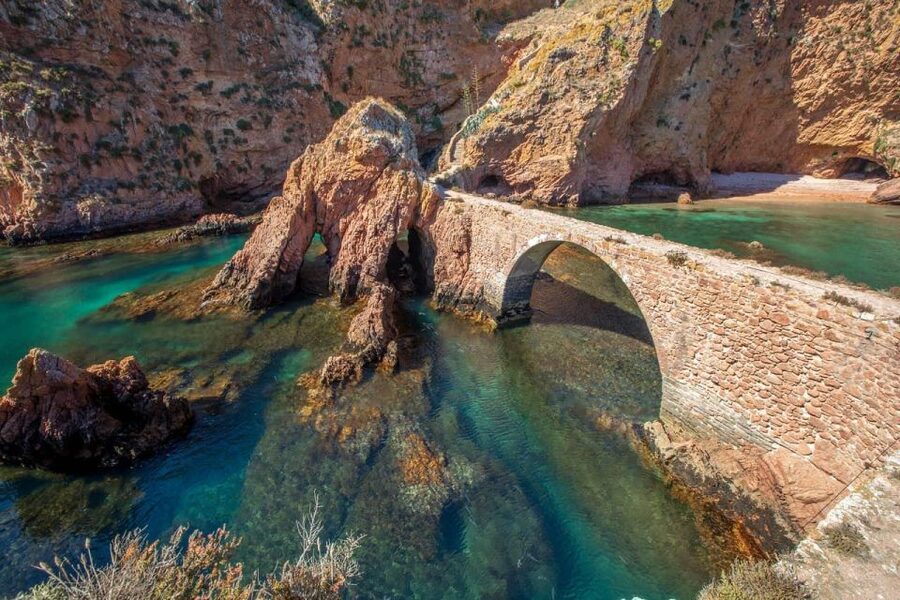 From Lisbon: Berlenga Grande Island Private Tour - Is $222 per person good value?