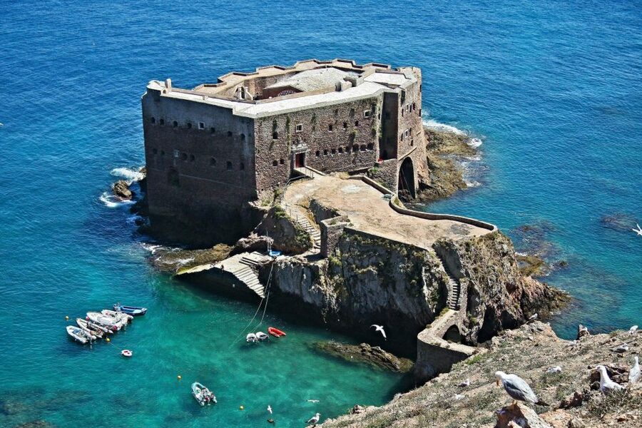 From Lisbon: Berlenga Grande Island Private Tour - Who will enjoy this day most?