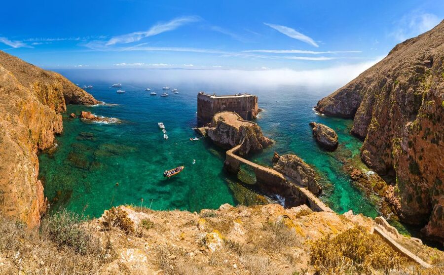 From Lisbon: Berlenga Grande Island Private Tour - Pickup from Lisbon, Sintra, or Cascais