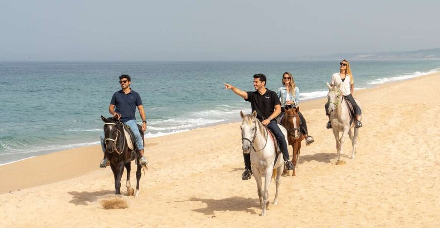From Lisbon: Comporta and Setúbal Trip with Horseback Riding - Why this Lisbon day trip works