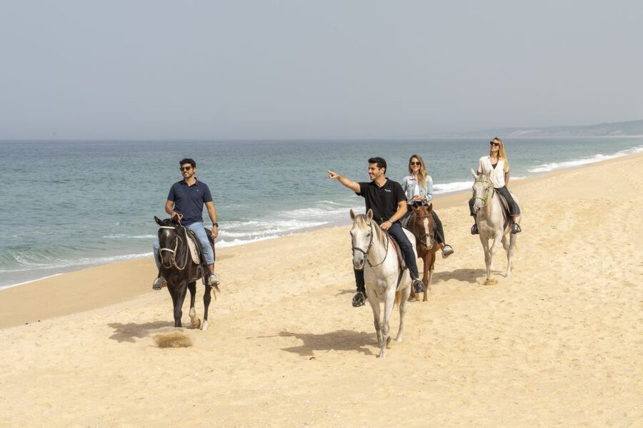 From Lisbon: Comporta and Setúbal Trip with Horseback Riding - Meeting in Lisbon and heading south