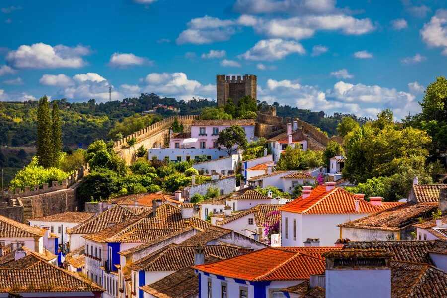 From Lisbon: Day Trip to Porto, Óbidos, and Nazaré - Porto: the main event along the Douro