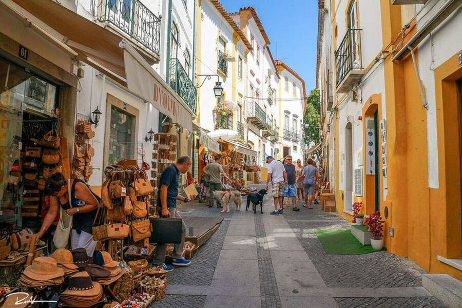 From Lisbon: Évora City Private Tour - The Roman Temple and Évora’s ancient past