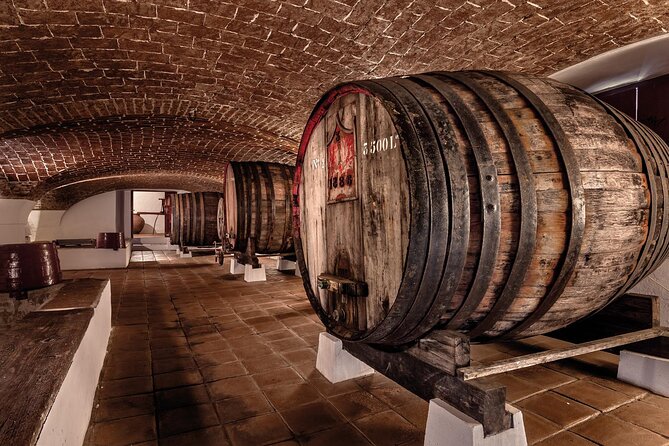 From Lisbon: Évora, Monsaraz, Wine Tasting & Cristo Rei - Why this day trip works from Lisbon