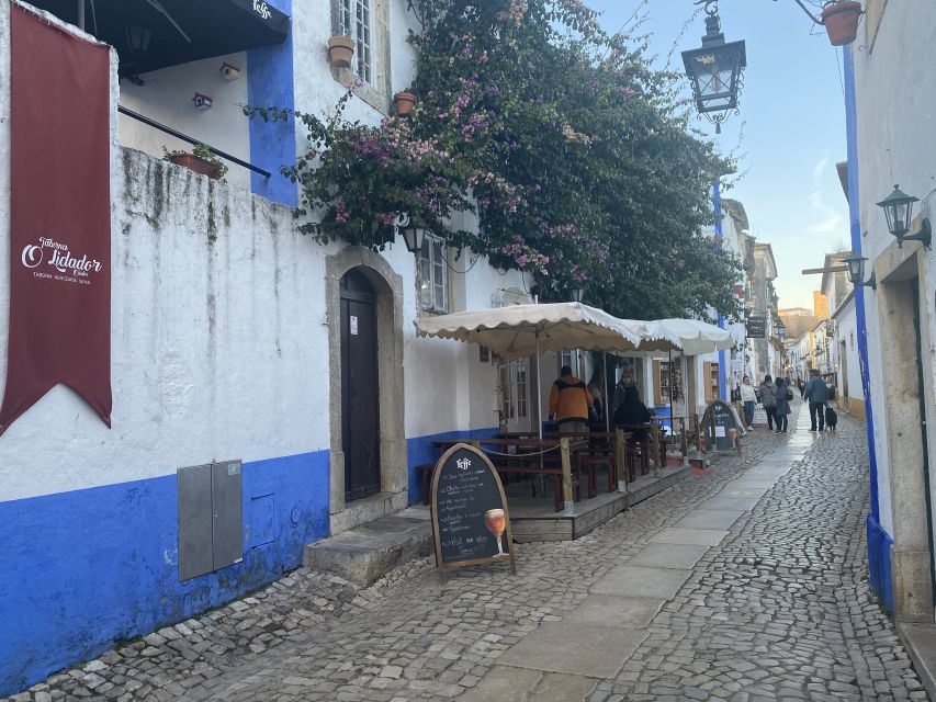 From Lisbon: Fátima, Batalha, Nazaré, and Obidos Tour by Van - Who should book this day trip?