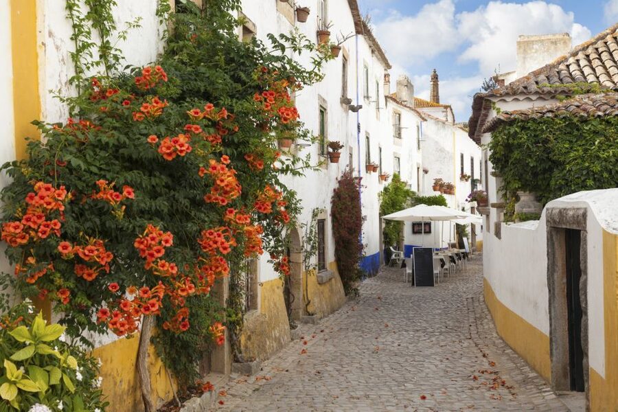 From Lisbon: Fátima, Óbidos Medieval, Nazaré Atlantic Coast - What the transport and group size mean