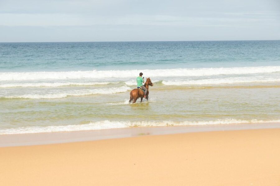 From Lisbon: Horseback Riding on Comporta Beach - Key points to know before booking