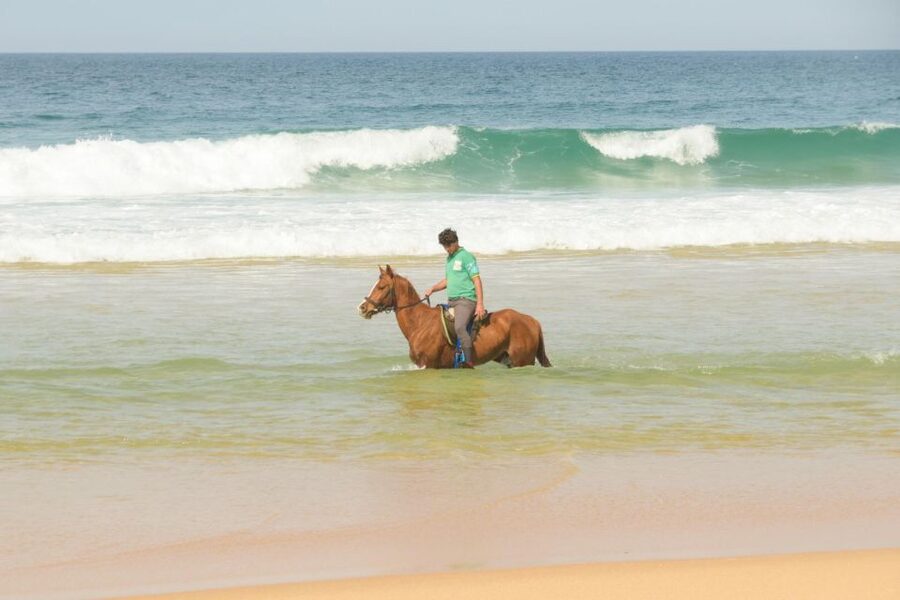 From Lisbon: Horseback Riding on Comporta Beach - Leaving Lisbon for the Comporta Nature Reserve