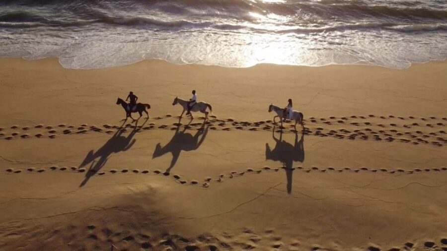From Lisbon: Horseback Riding on Comporta Beach - Through the Atlantic forest and dunes