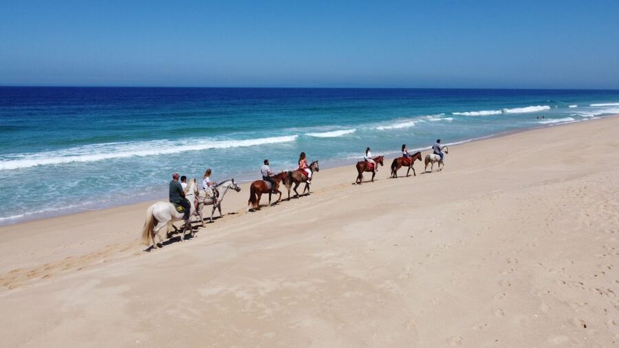 From Lisbon: Horseback Riding on Comporta Beach - Guides, horses, and the human touch