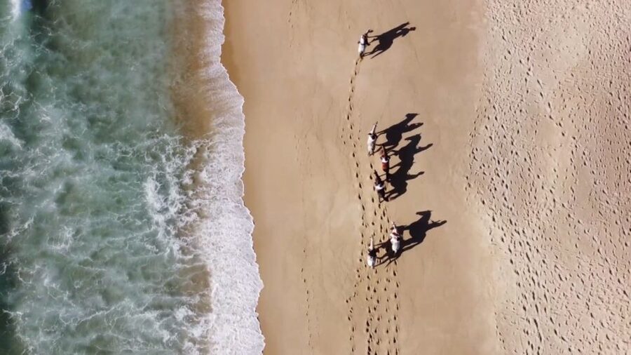 From Lisbon: Horseback Riding on Comporta Beach - Who should book this ride?
