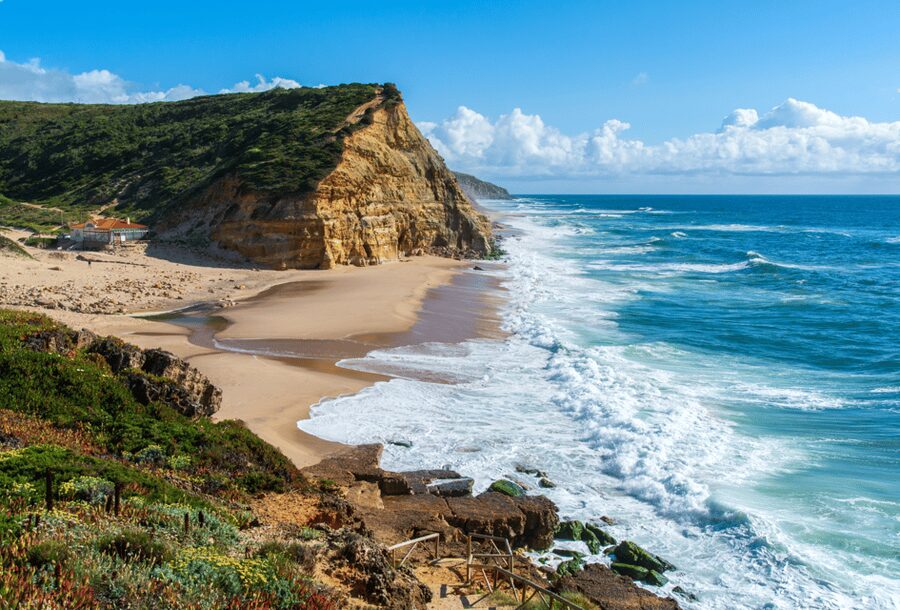 From Lisbon: Mafra Palace and Ericeira - Heritage and the Portuguese Coast - Inside Mafra National Palace