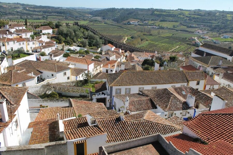 From Lisbon: Óbidos and Mafra Palace Private Tour - The Mafra library and basilica