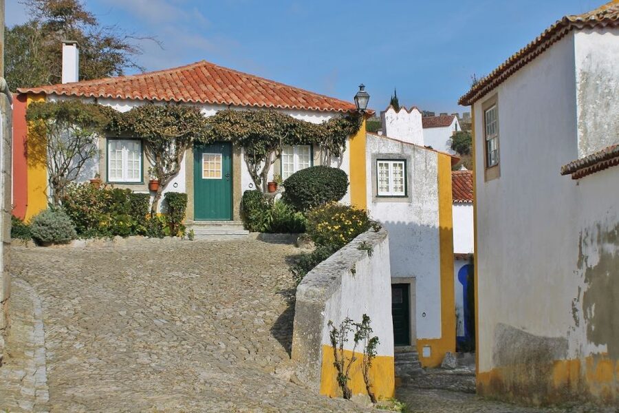 From Lisbon: Óbidos and Mafra Palace Private Tour - What the private guide adds